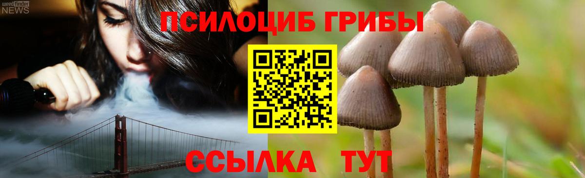 Псилоцибиновые грибы GOLDEN TEACHER Советская Гавань